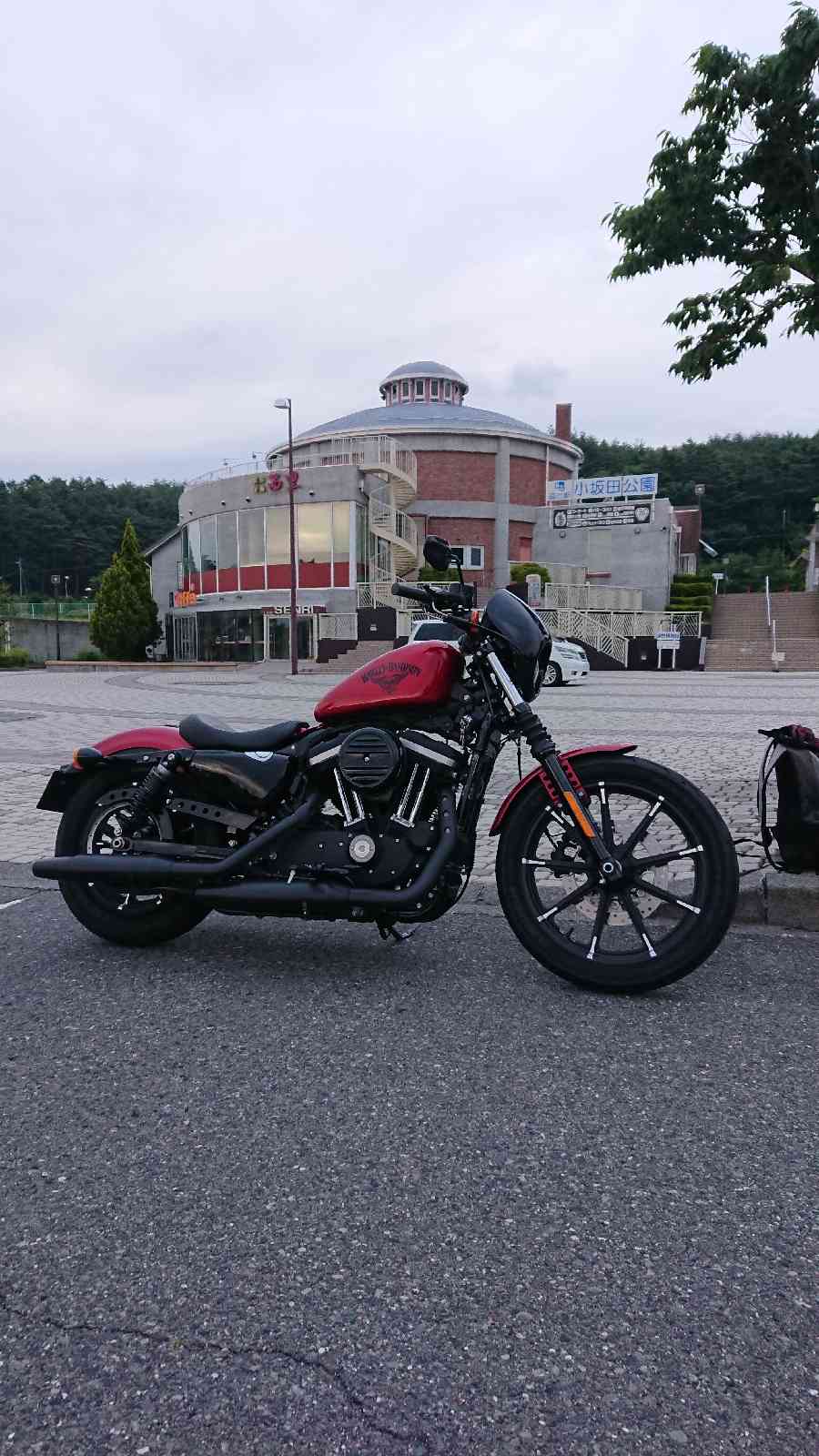 投稿された画像