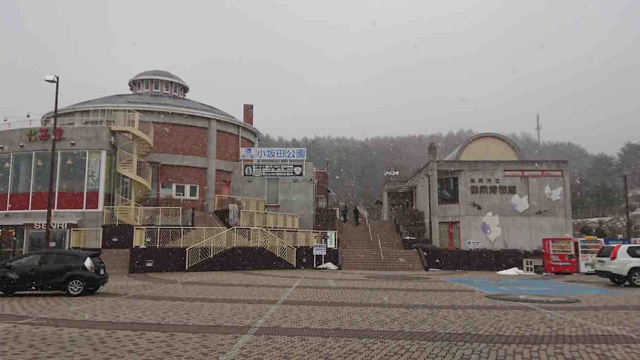 投稿された画像