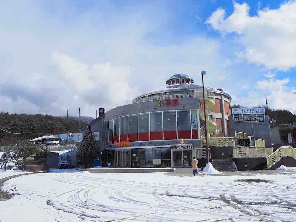 投稿された画像