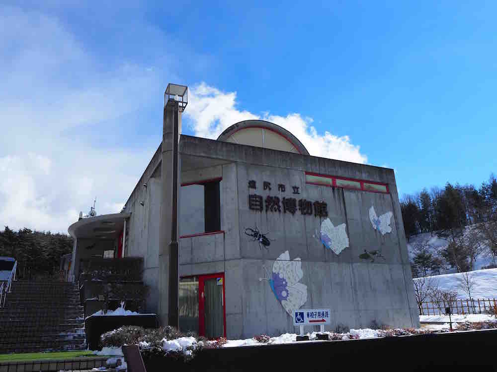 投稿された画像