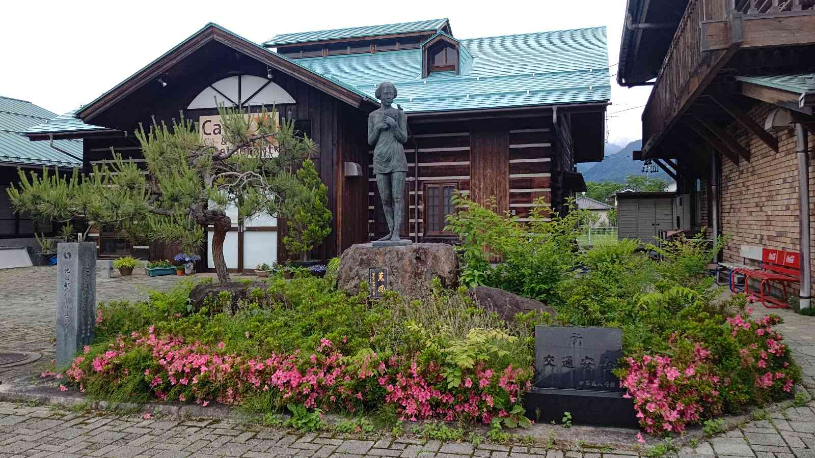 投稿された画像