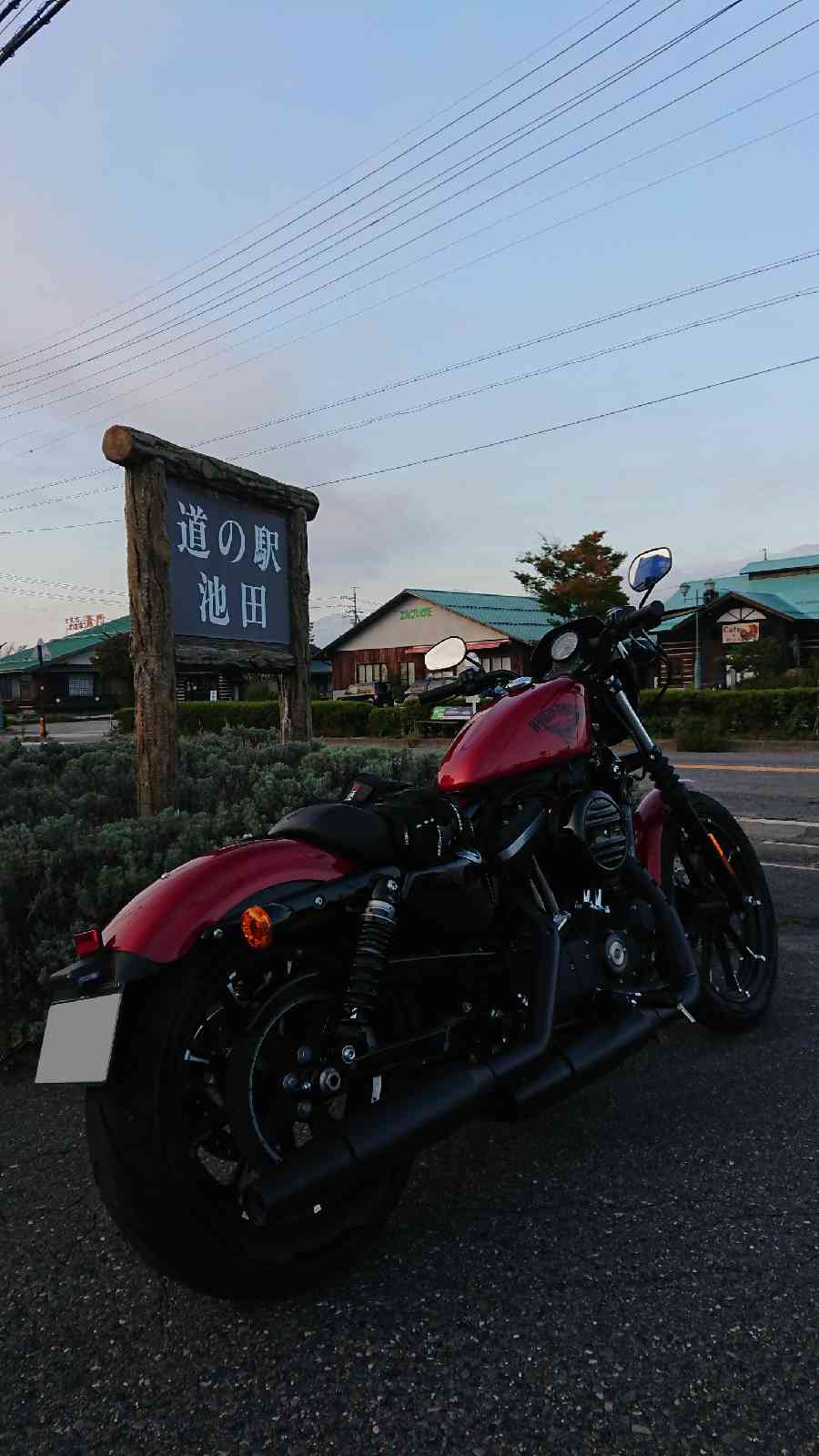 投稿された画像