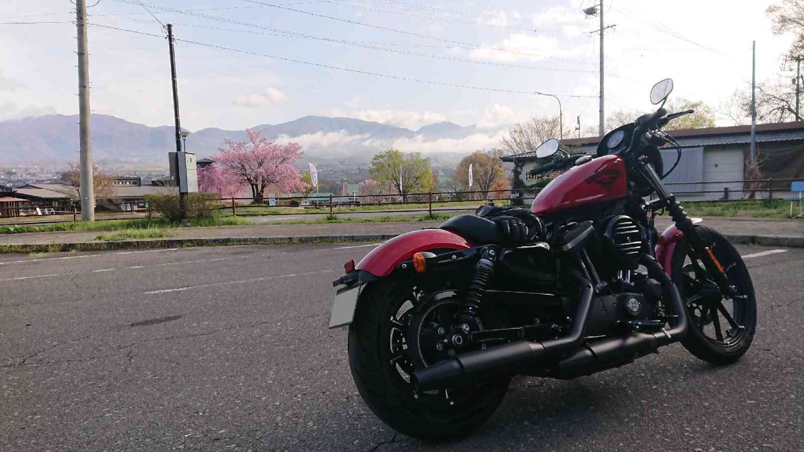 投稿された画像