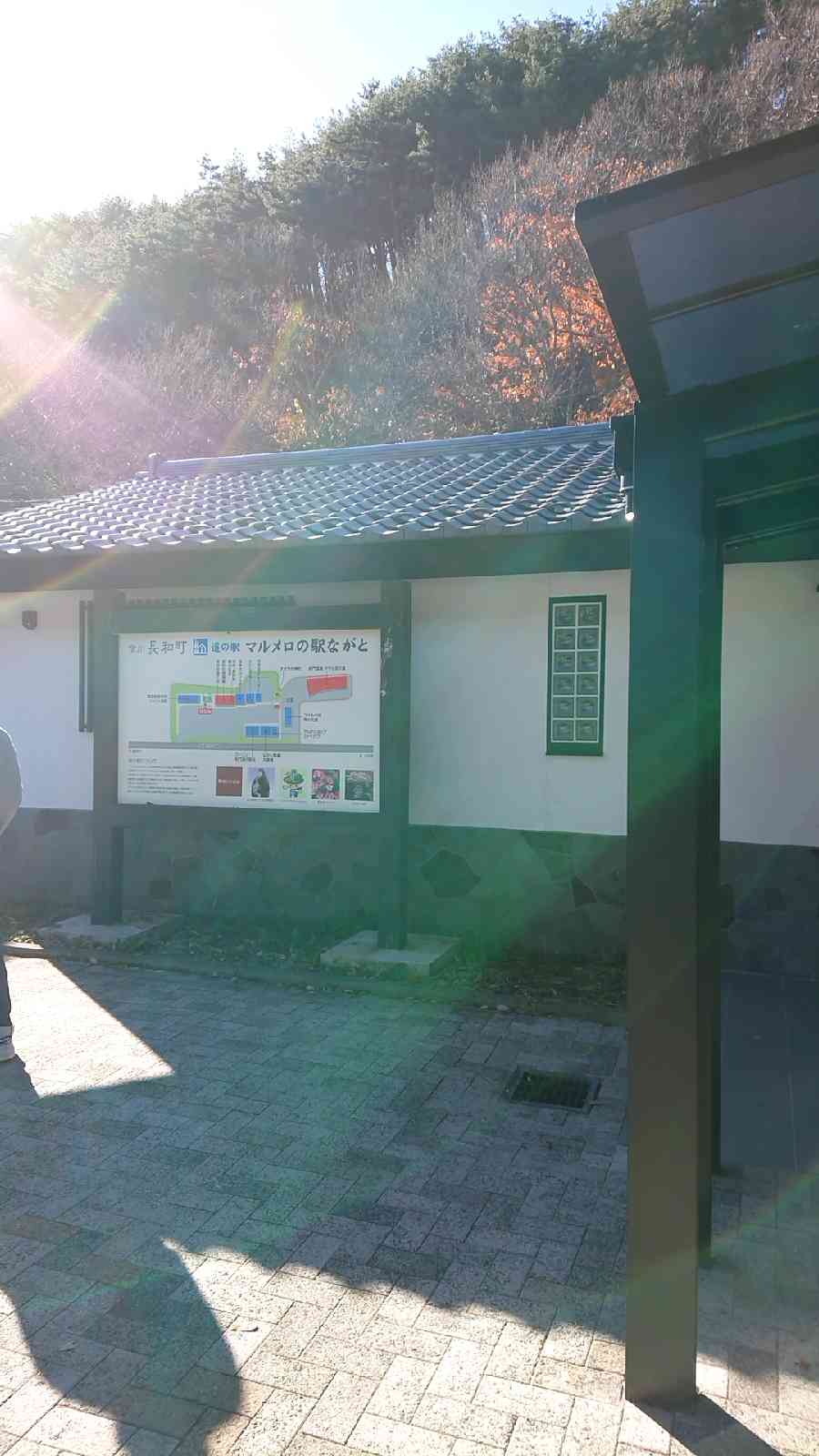 投稿された画像