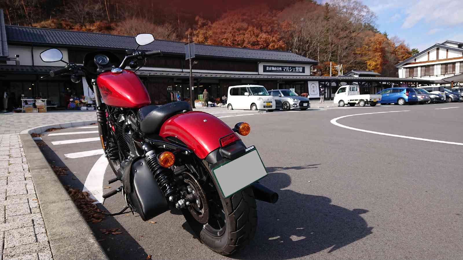 投稿された画像