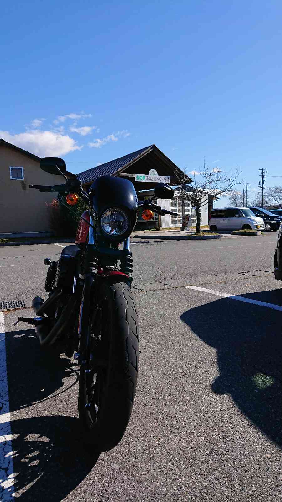 投稿された画像