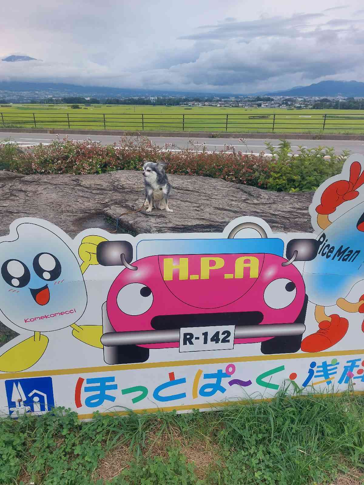 道の駅 ほっとぱ～く・浅科の写真