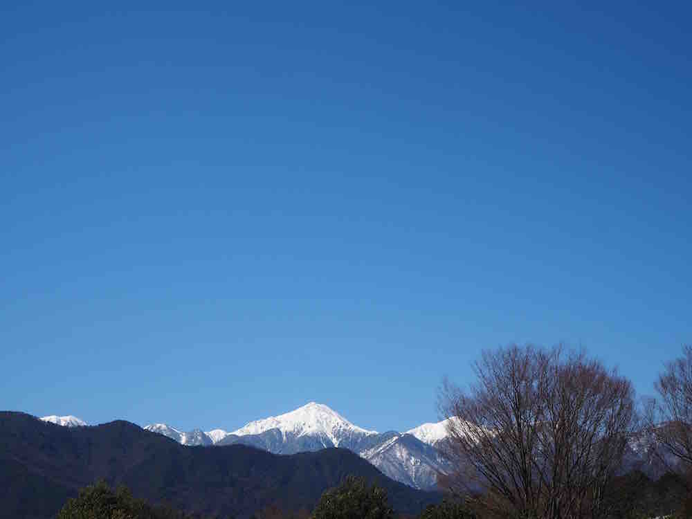 投稿された画像