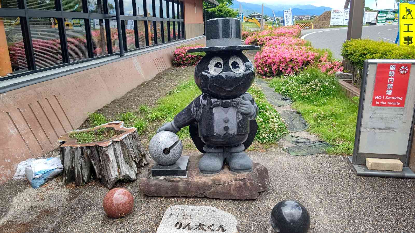 投稿された画像