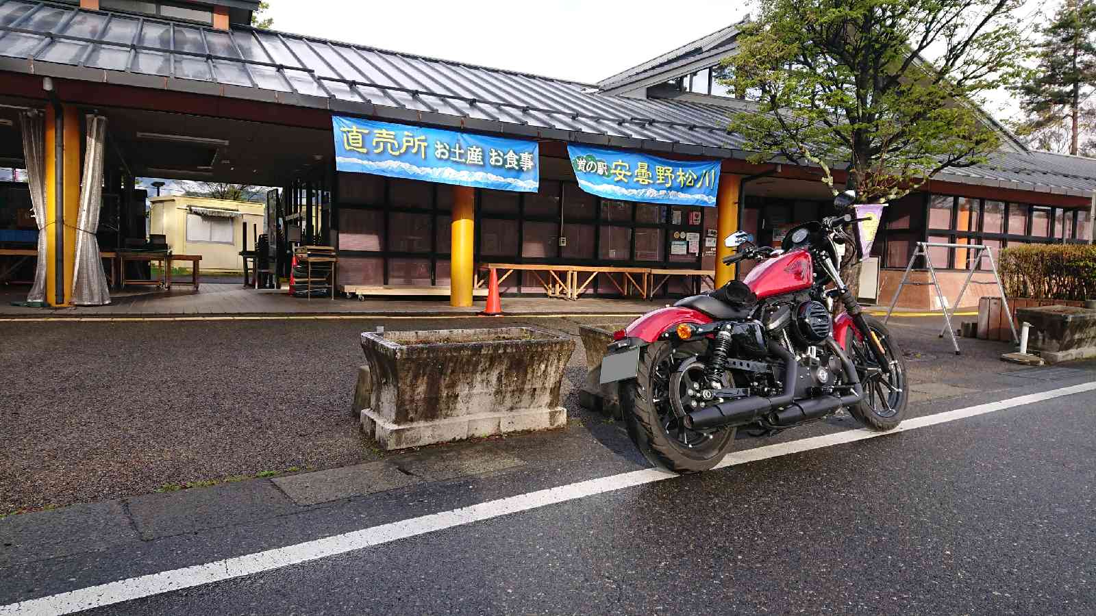 投稿された画像