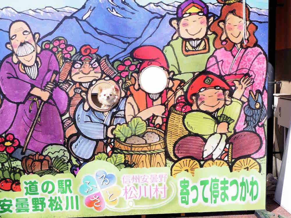 投稿された画像