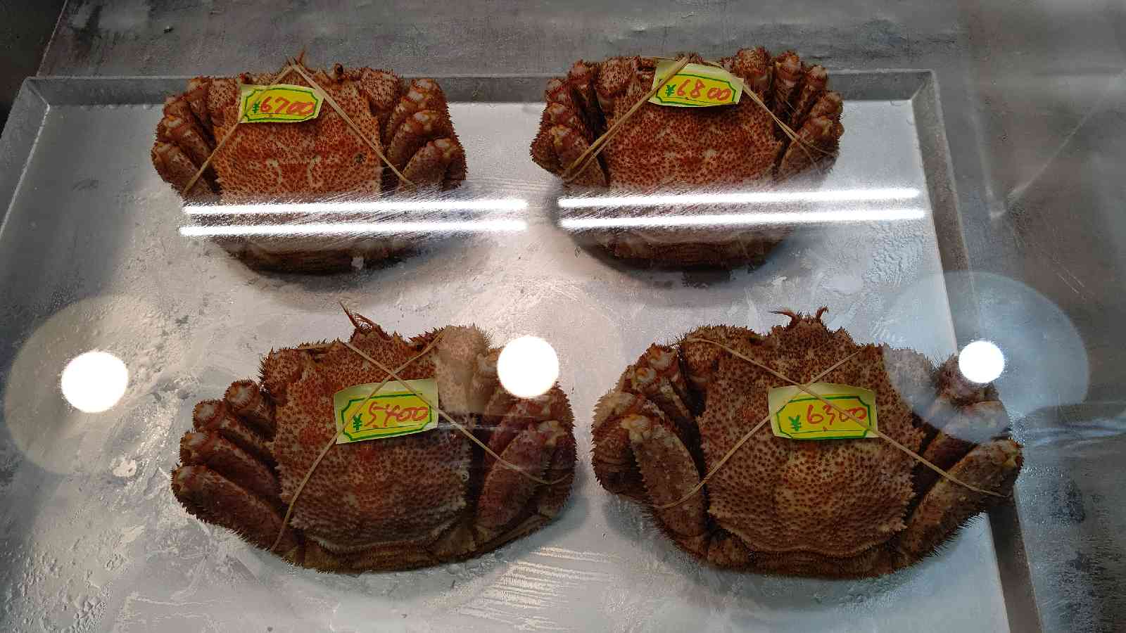 投稿された画像