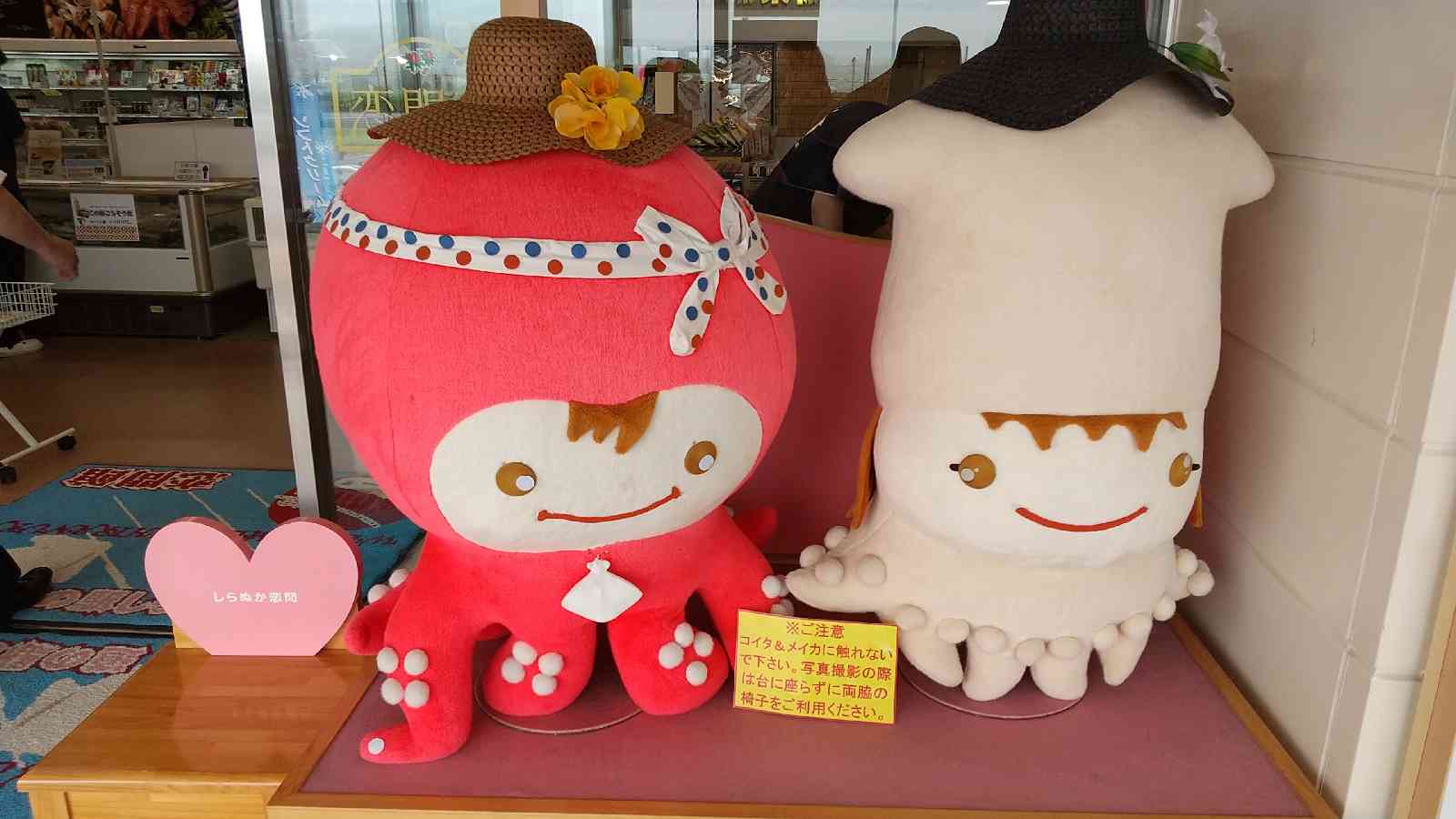 投稿された画像