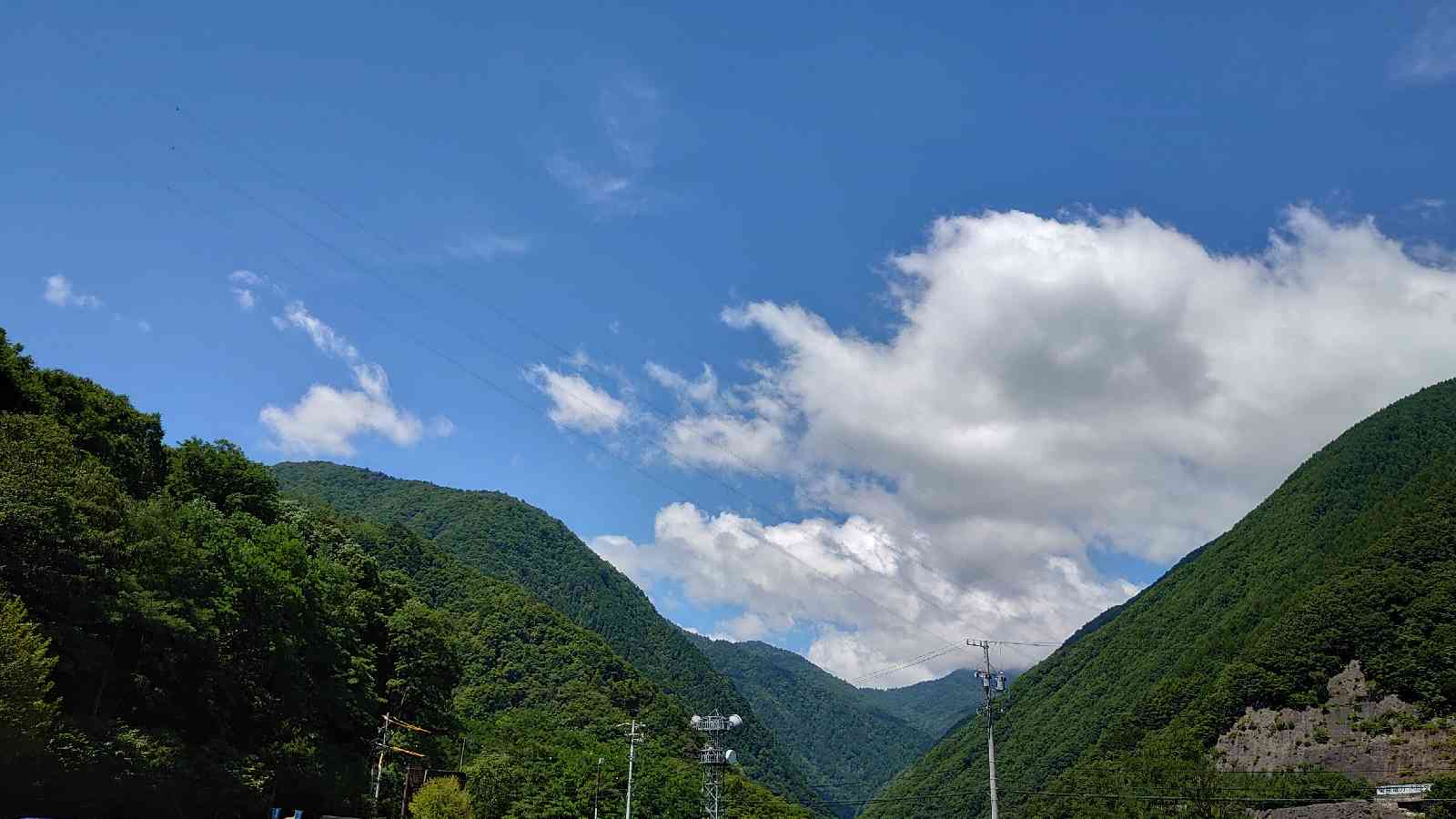 投稿された画像