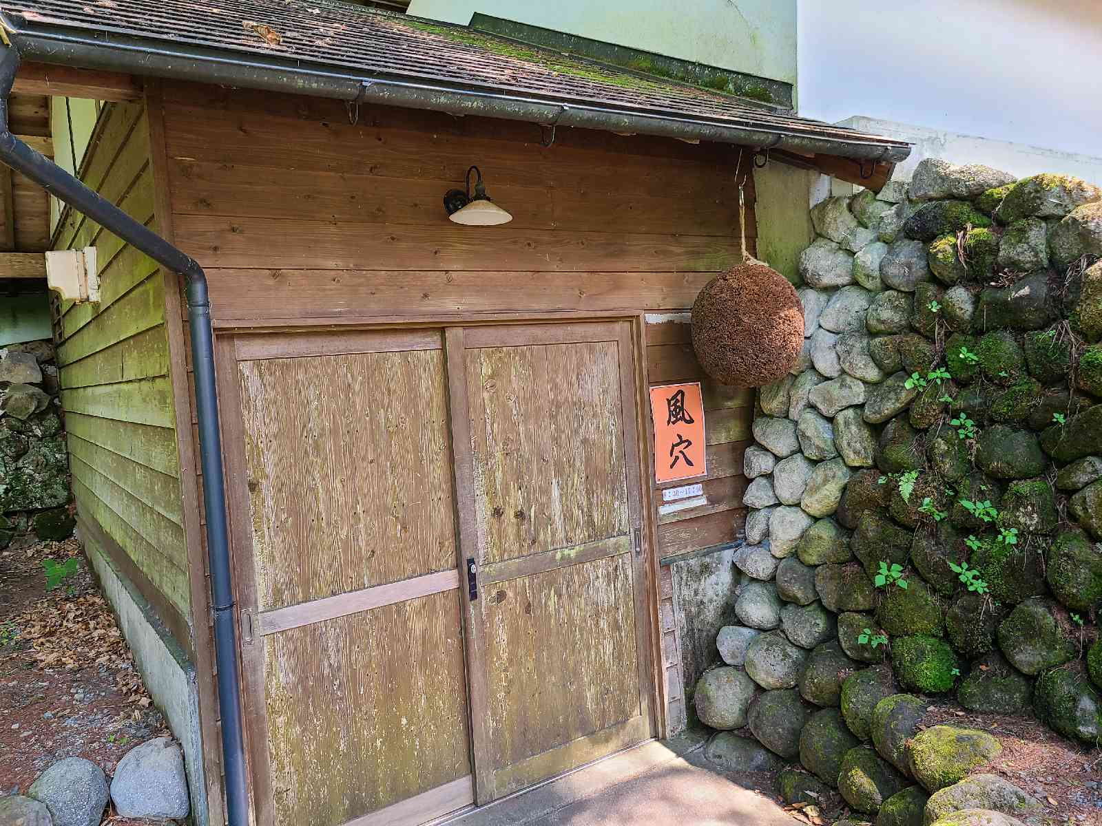 投稿された画像