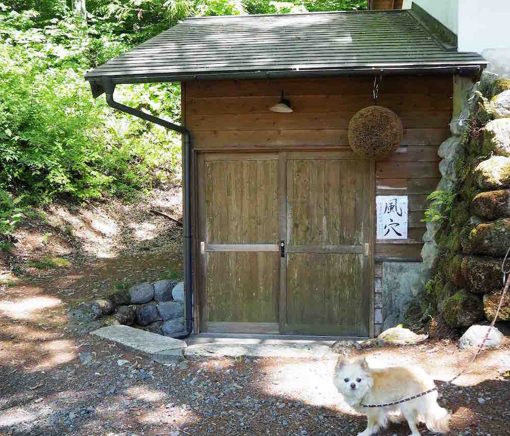 投稿された画像