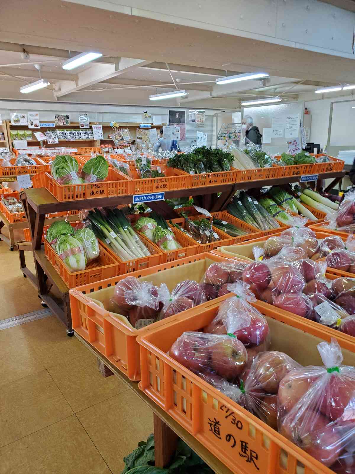 投稿された画像