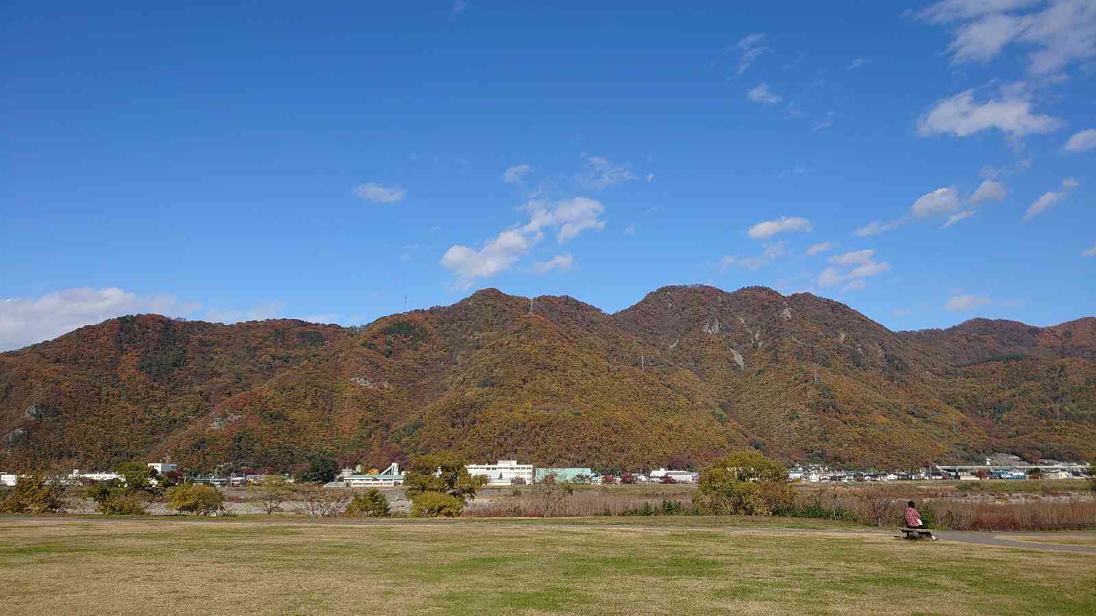 投稿された画像