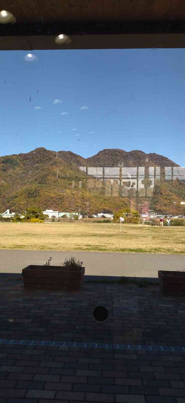 投稿された画像