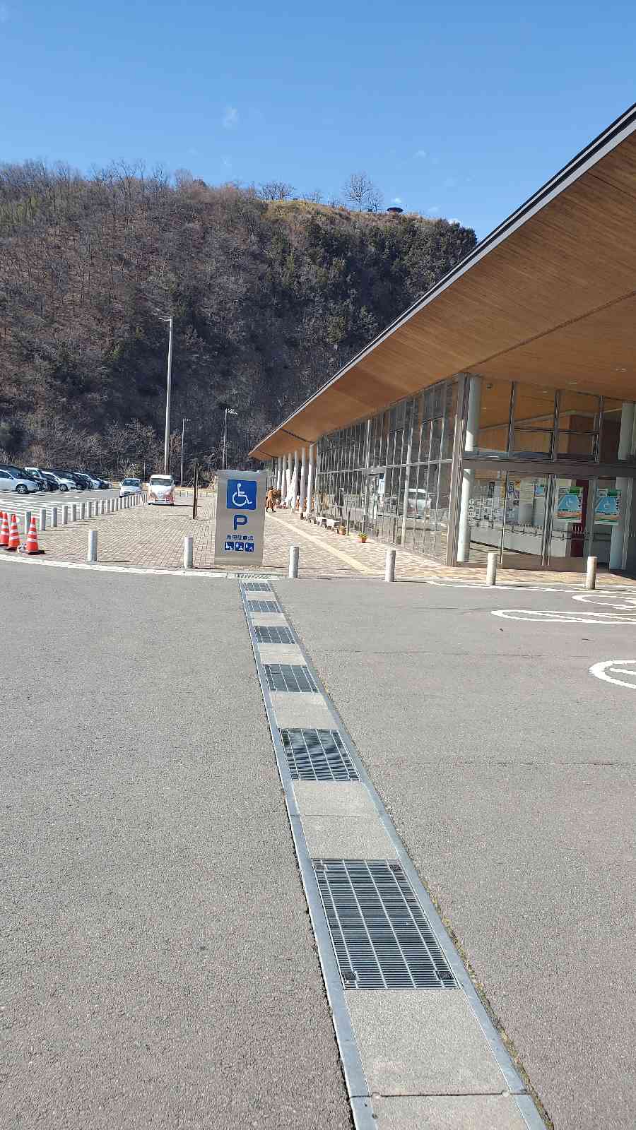 投稿された画像