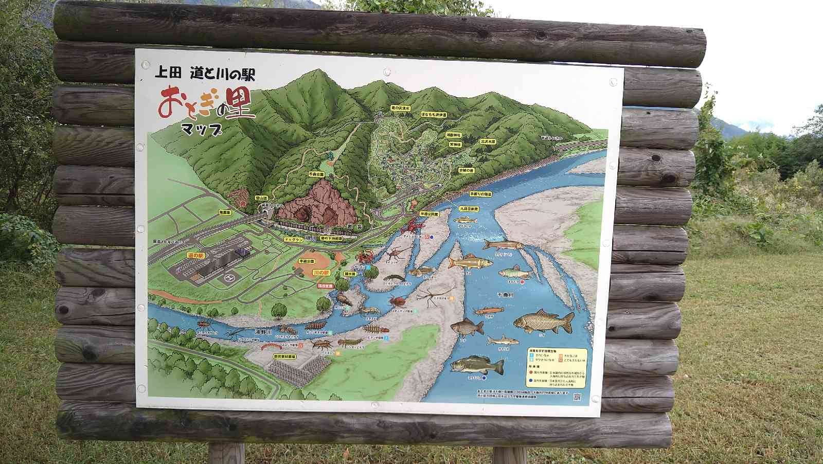道の駅 上田　道と川の駅の写真