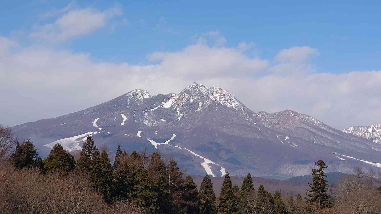 投稿された画像