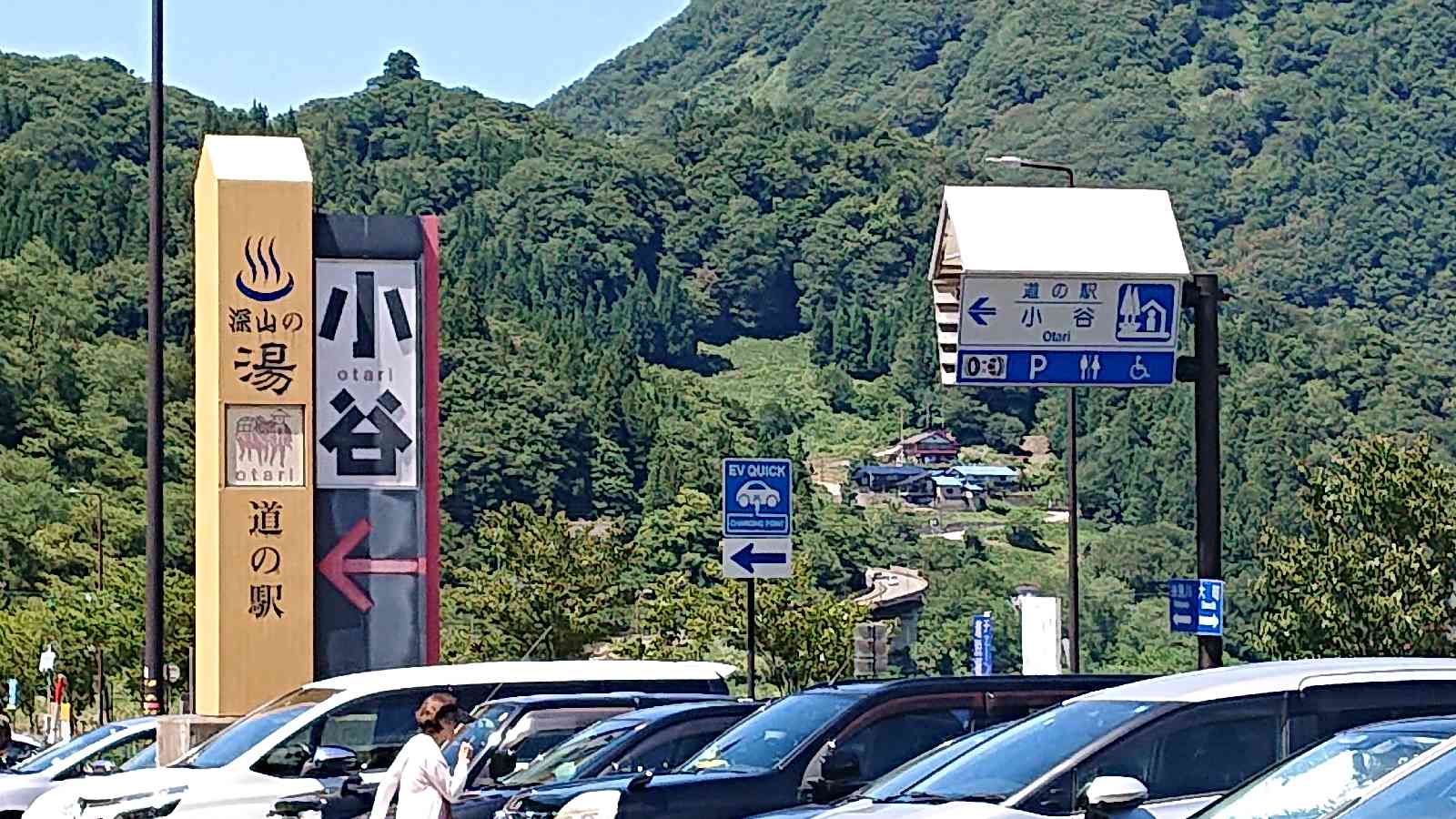 投稿された画像