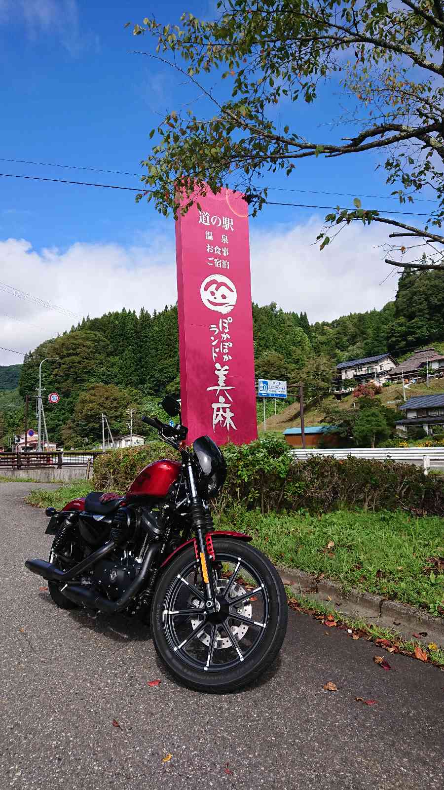 投稿された画像