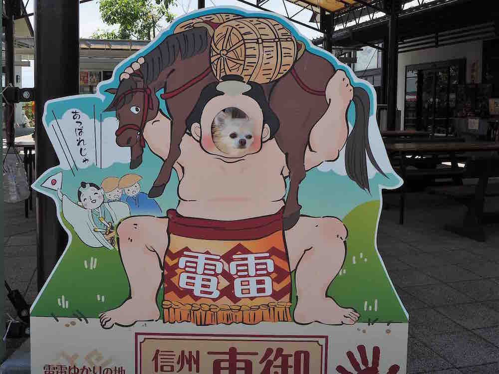 投稿された画像