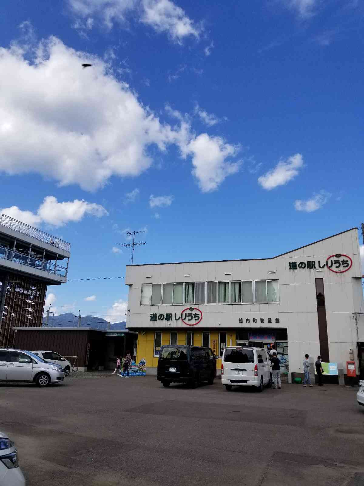 投稿された画像