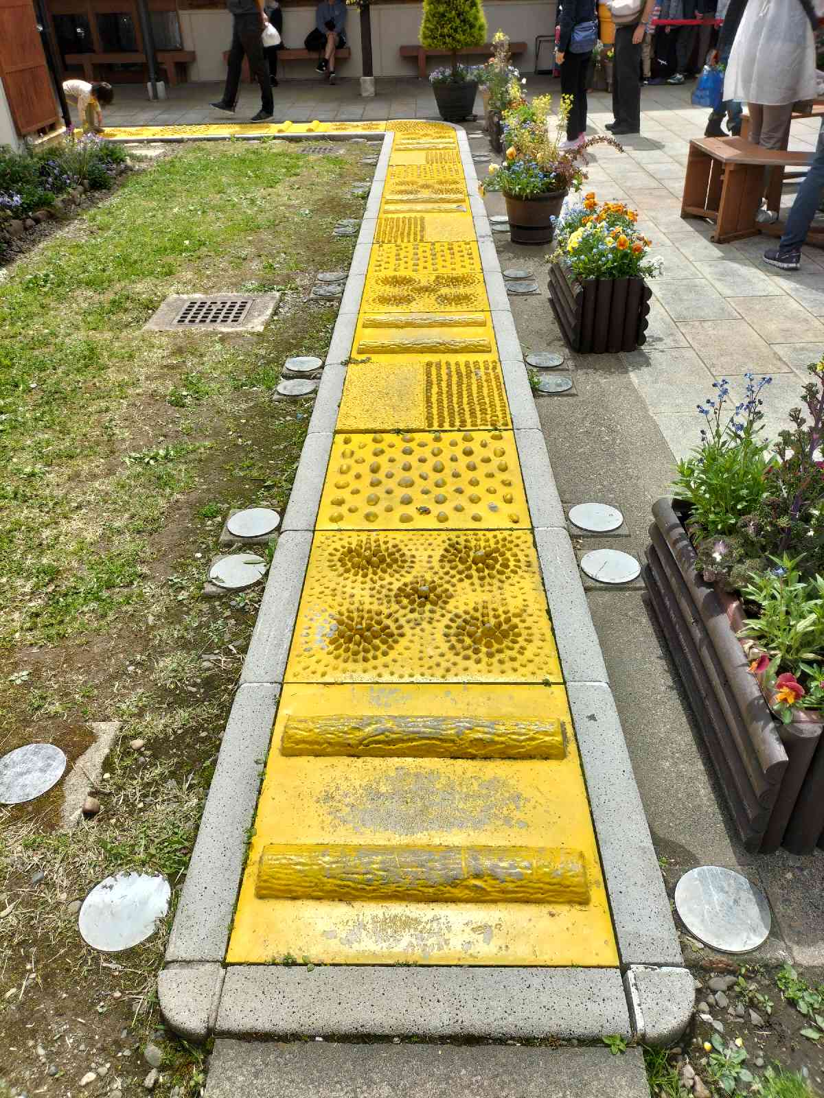 投稿された画像