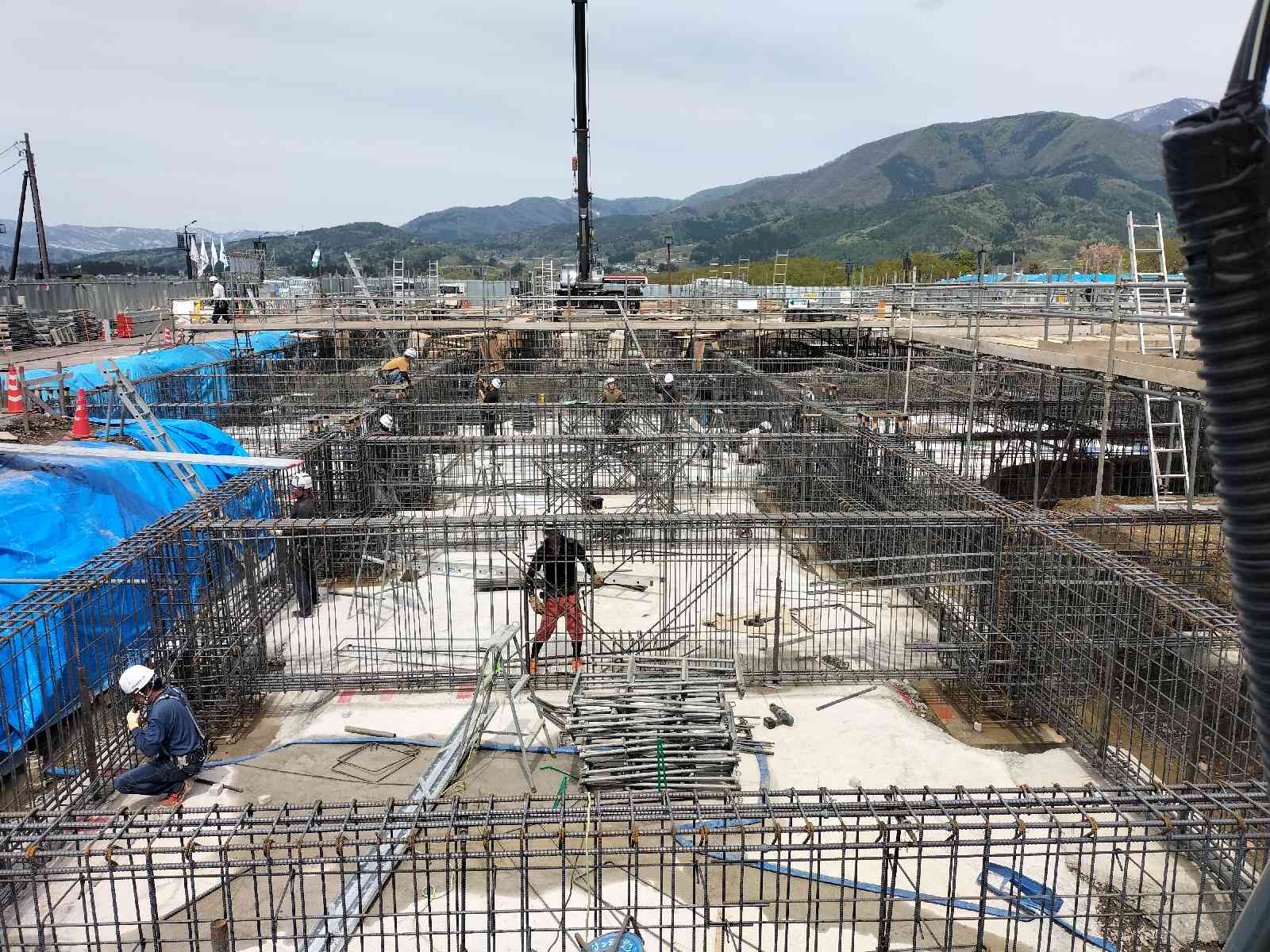 投稿された画像