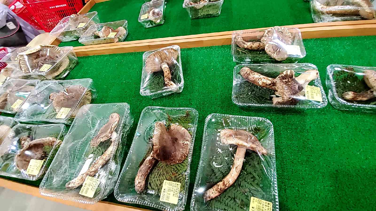 投稿された画像