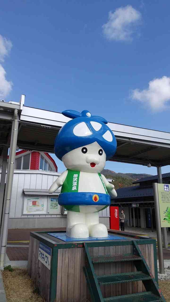 投稿された画像