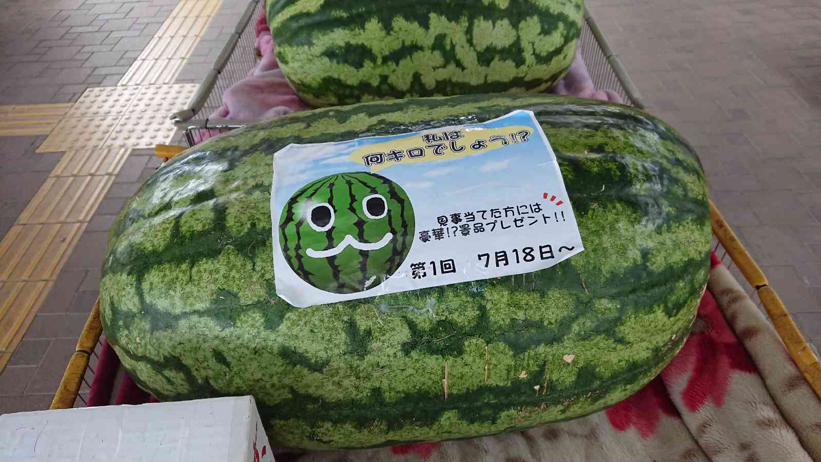 投稿された画像
