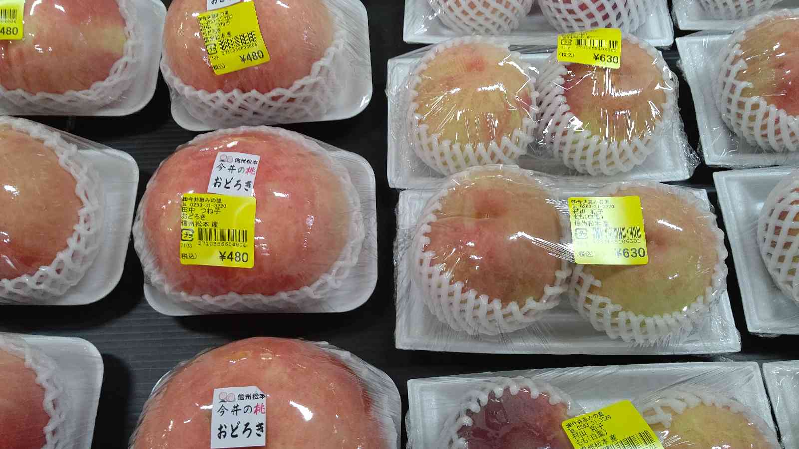 投稿された画像
