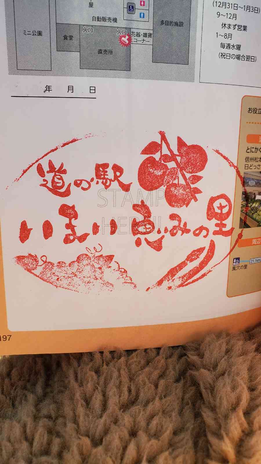 投稿された画像