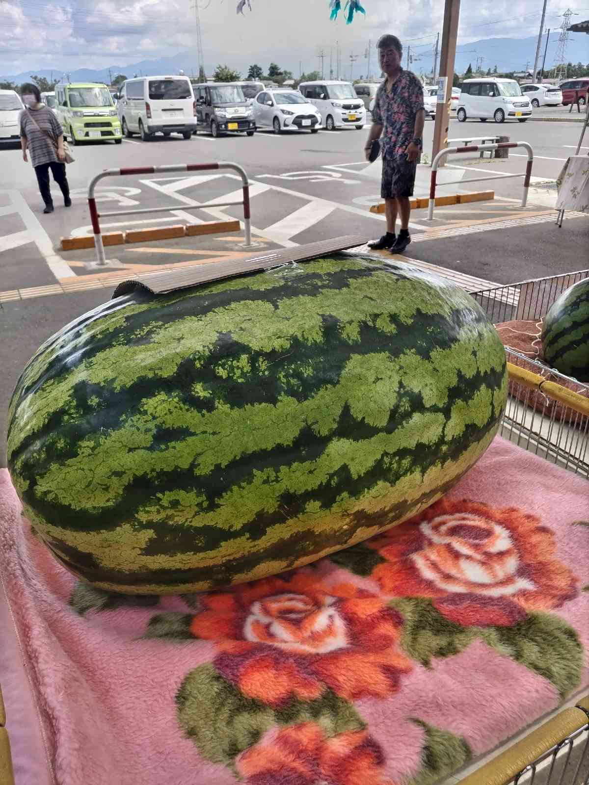 道の駅 今井　恵みの里の写真