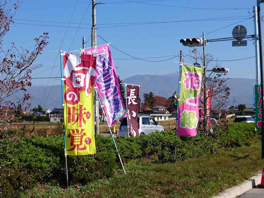 投稿された画像
