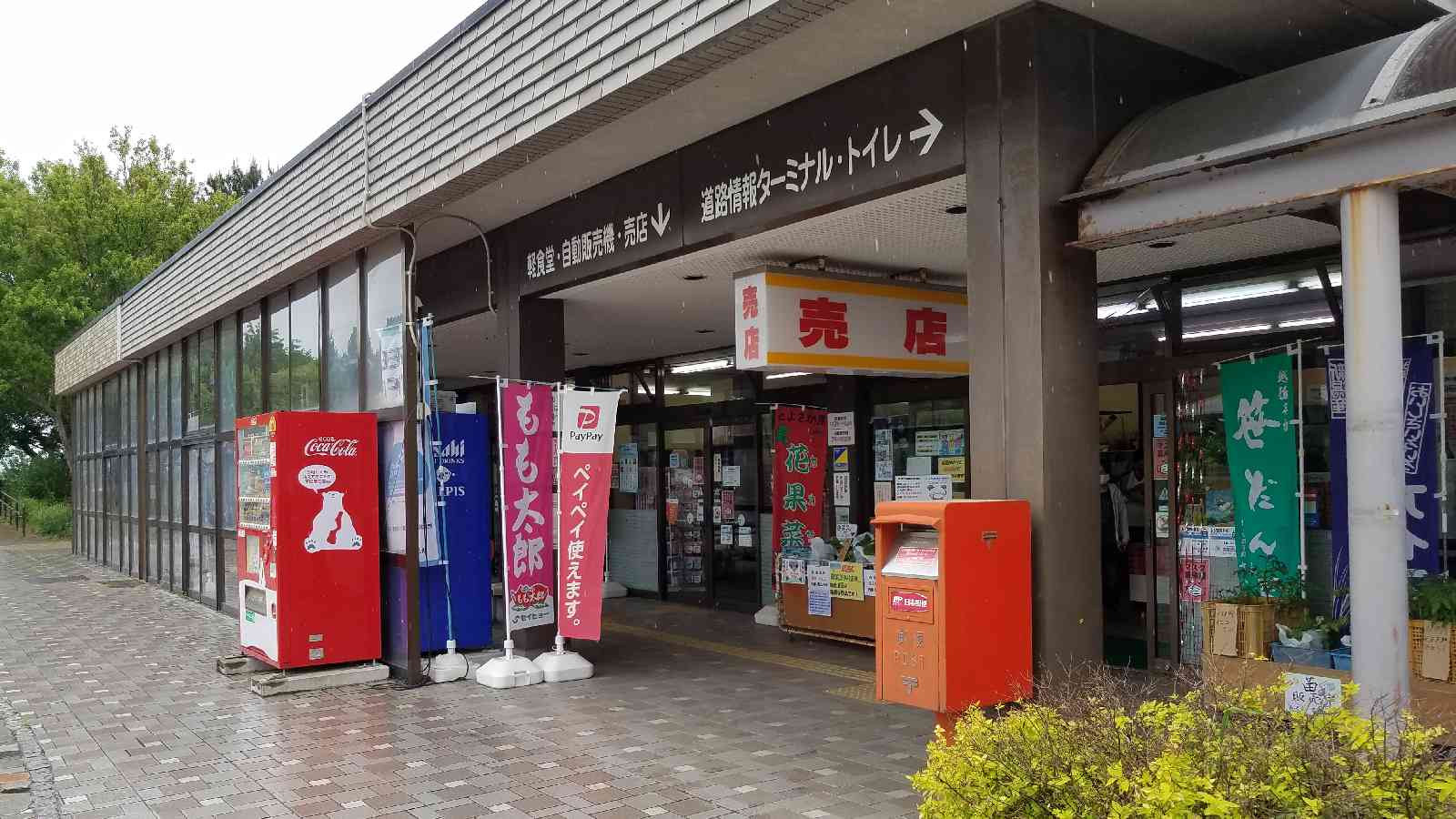 投稿された画像