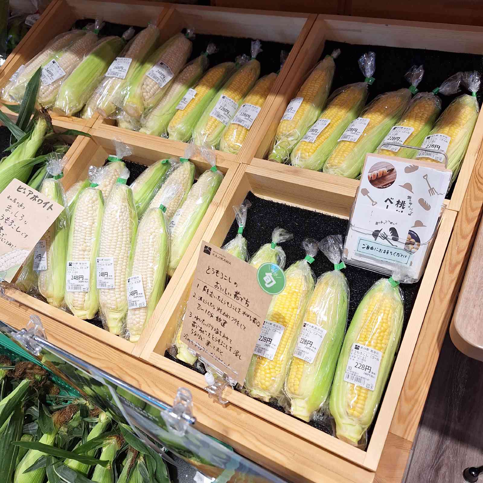 道の駅 加治川の写真