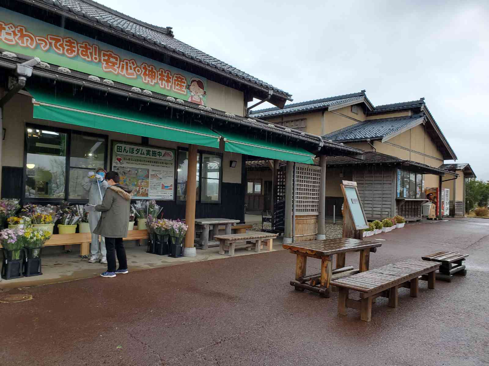 投稿された画像