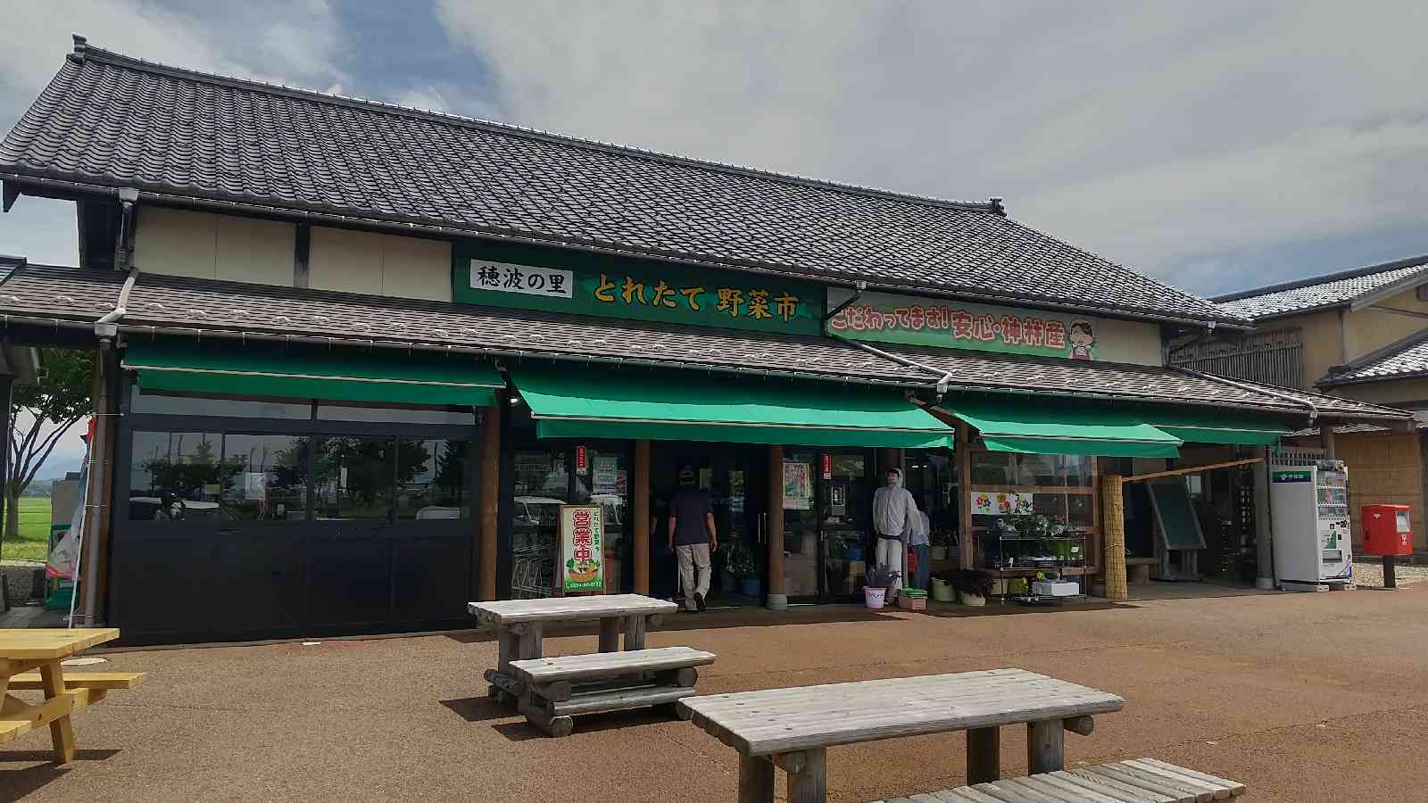 投稿された画像