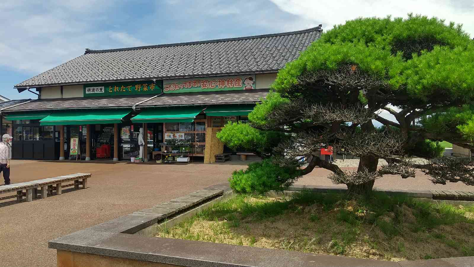 投稿された画像
