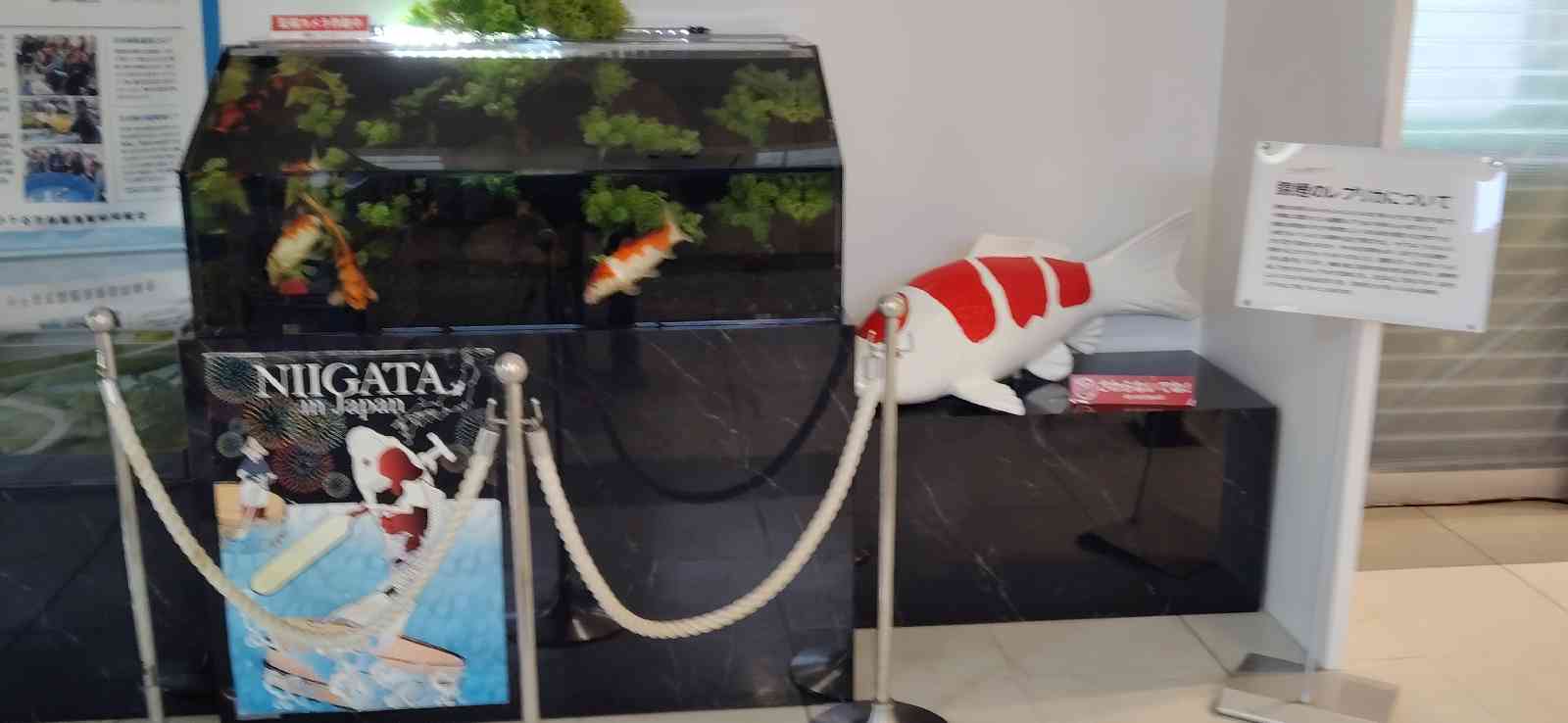 道の駅 新潟ふるさと村の写真