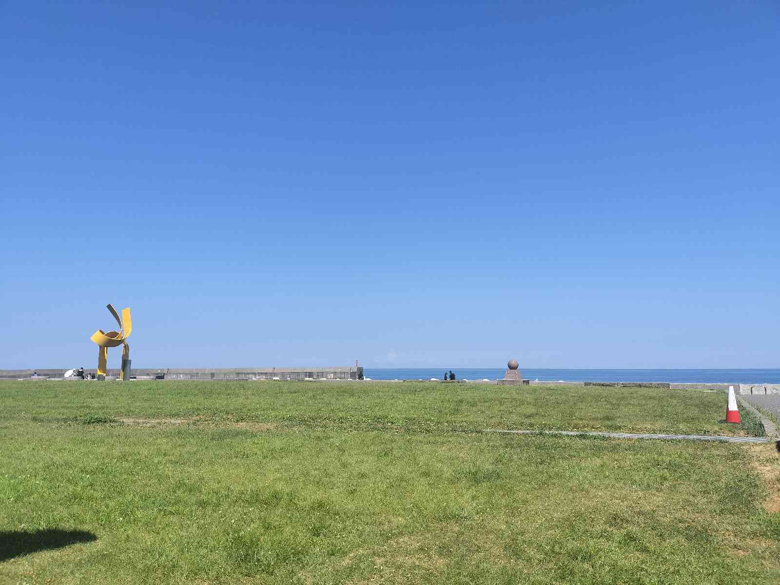 投稿された画像