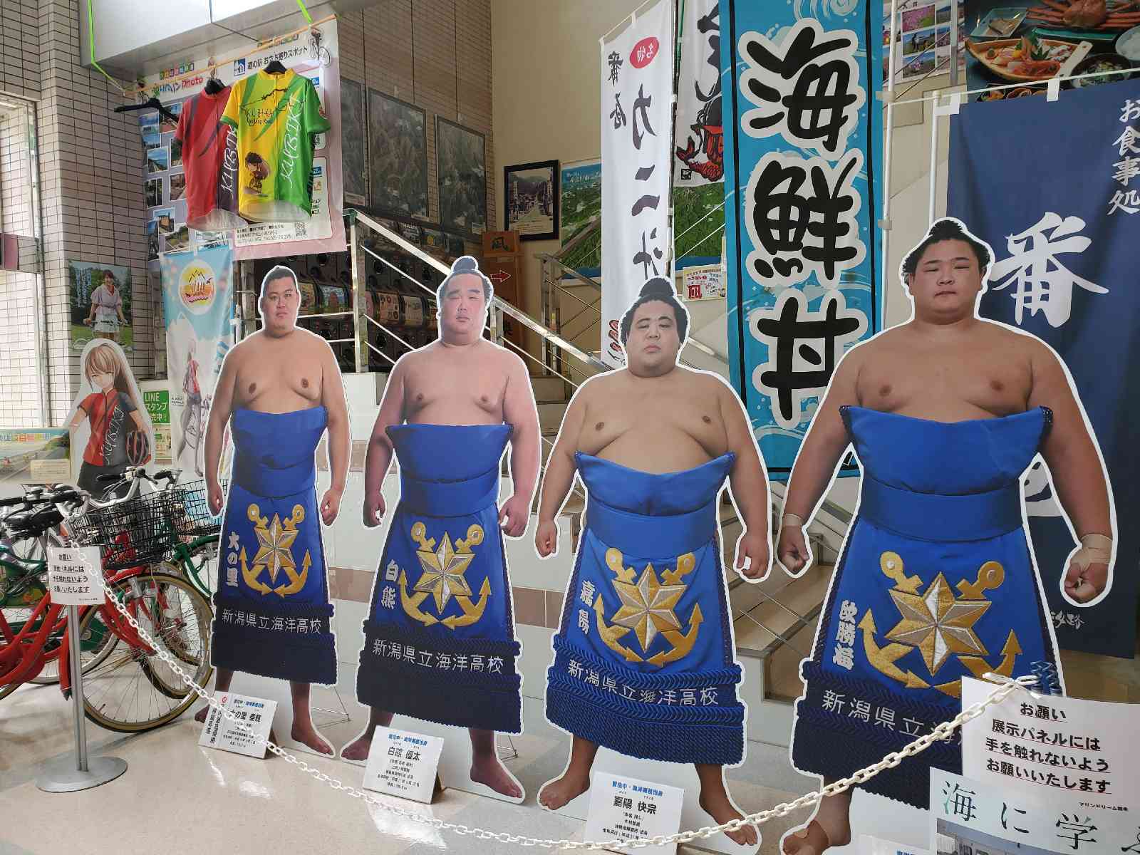 道の駅 能生の写真