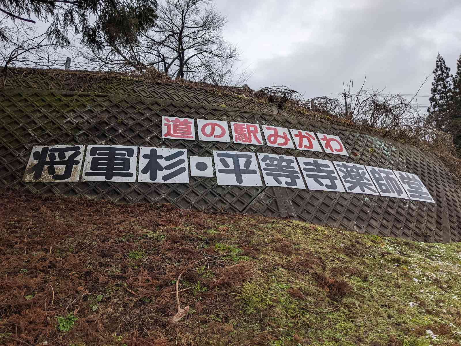 投稿された画像