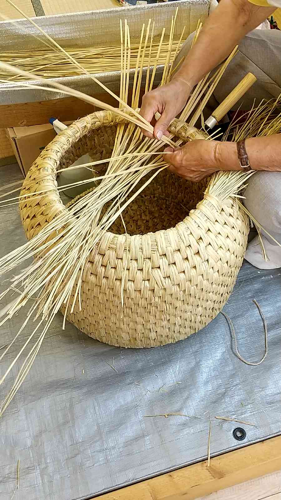 投稿された画像