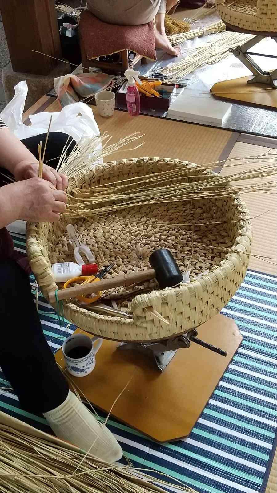 投稿された画像